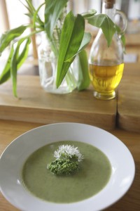 Wild garlic soup