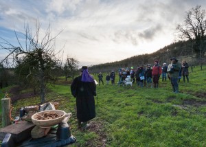  wassail, life of reilly, band, folk, folklore, orchard, apple, cider, 